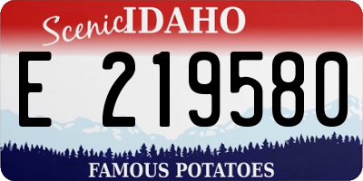 ID license plate E219580