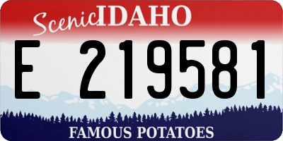 ID license plate E219581