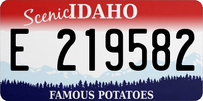 ID license plate E219582