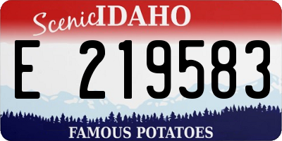 ID license plate E219583