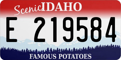 ID license plate E219584