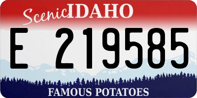 ID license plate E219585