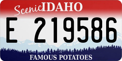 ID license plate E219586