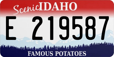 ID license plate E219587