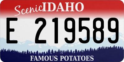 ID license plate E219589
