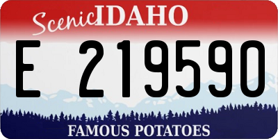 ID license plate E219590