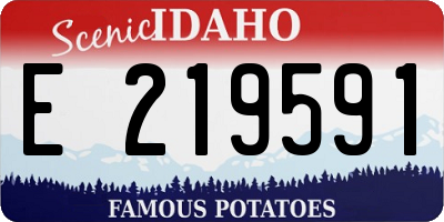 ID license plate E219591