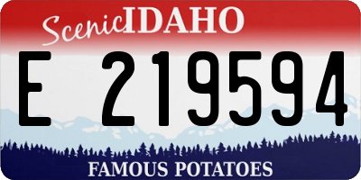 ID license plate E219594