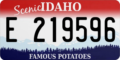 ID license plate E219596