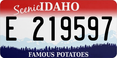 ID license plate E219597