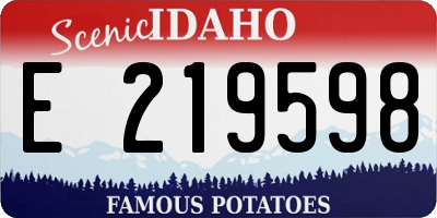 ID license plate E219598