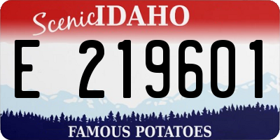 ID license plate E219601