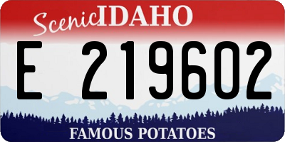 ID license plate E219602