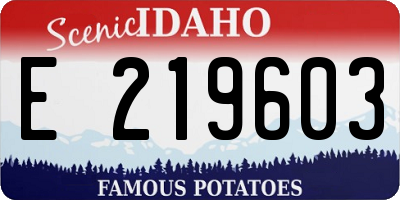 ID license plate E219603