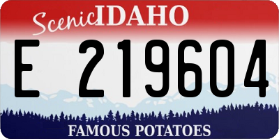 ID license plate E219604