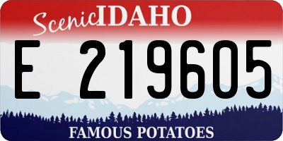 ID license plate E219605