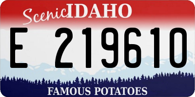 ID license plate E219610