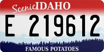ID license plate E219612