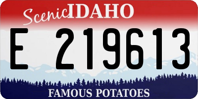 ID license plate E219613