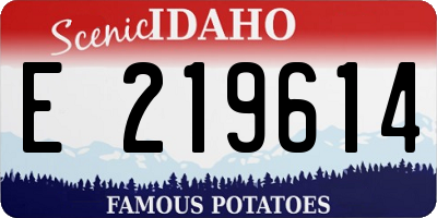ID license plate E219614
