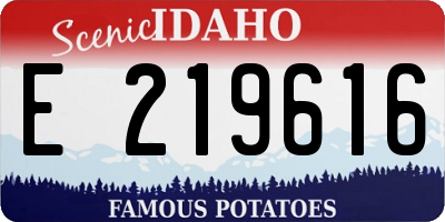 ID license plate E219616