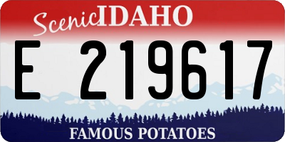 ID license plate E219617