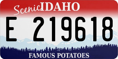 ID license plate E219618
