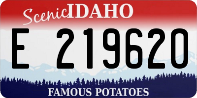 ID license plate E219620