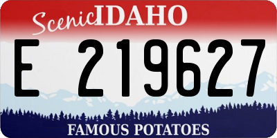 ID license plate E219627