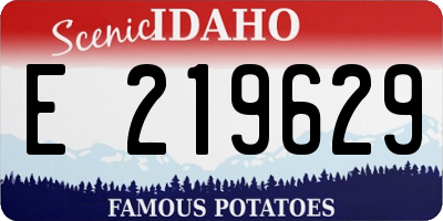 ID license plate E219629