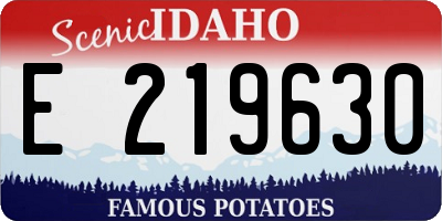 ID license plate E219630