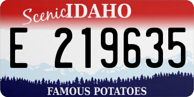 ID license plate E219635