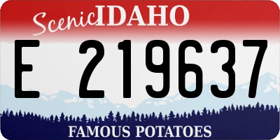 ID license plate E219637