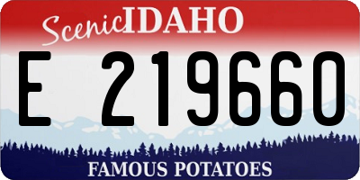 ID license plate E219660