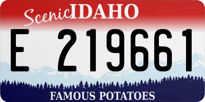ID license plate E219661