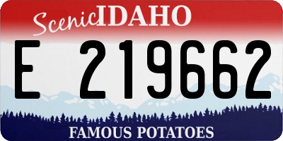 ID license plate E219662