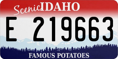 ID license plate E219663