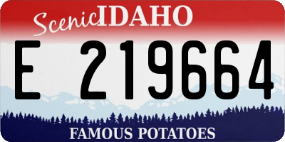 ID license plate E219664