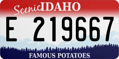 ID license plate E219667