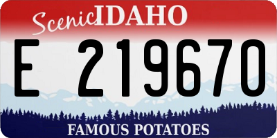 ID license plate E219670