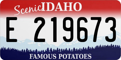 ID license plate E219673