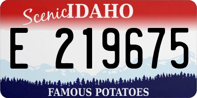 ID license plate E219675
