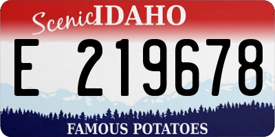 ID license plate E219678