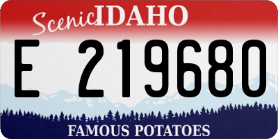 ID license plate E219680