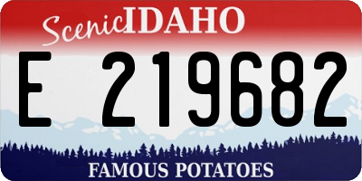ID license plate E219682