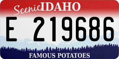 ID license plate E219686