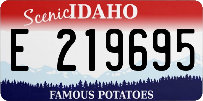 ID license plate E219695