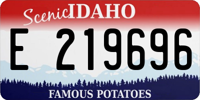 ID license plate E219696