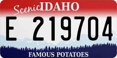 ID license plate E219704