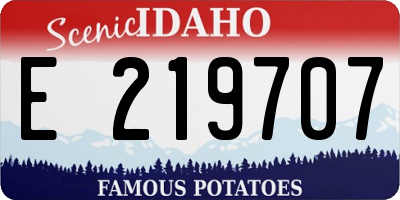 ID license plate E219707